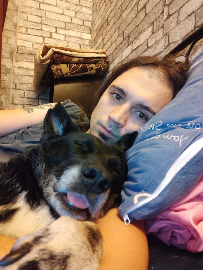 Просто прогулка Собака, Домашние животные, Друзья, Выходные, Кот, Собачьи дела, Четверг, Черный кот, Длиннопост