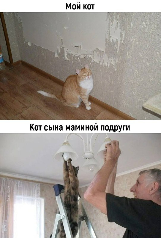   ,   ,  , 