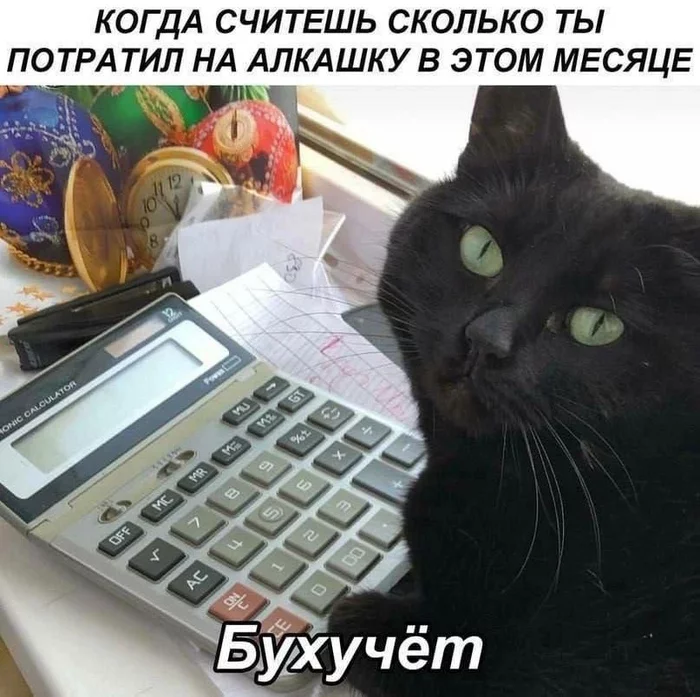 Everything is precisely calculated ... probably ... most likely - Accounting department, Alcohol, Accounting, Check, Calculator, cat
