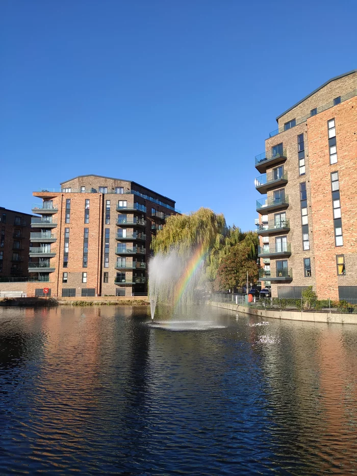 Rainbow Generator - My, Rainbow, Mobile photography, Fountain, Pond