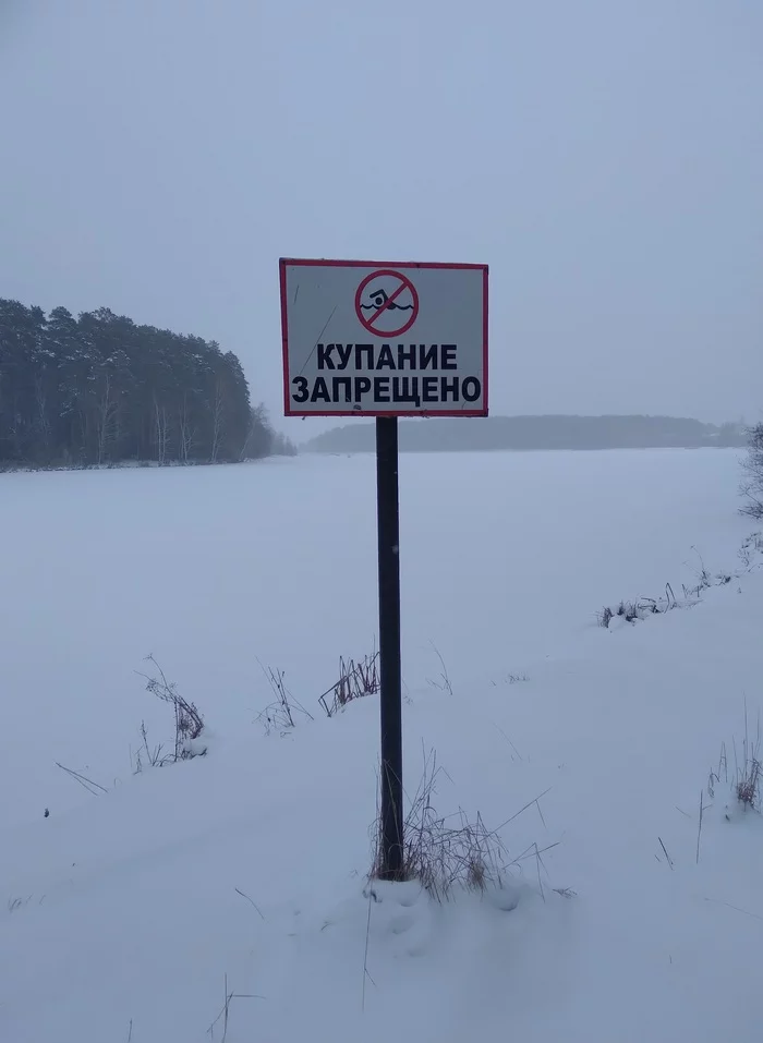 In Yekaterinburg, the rights of walruses are infringed! - Yekaterinburg, Walruses, Infringement of rights, The photo