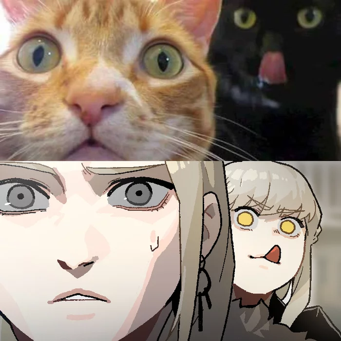 Is she behind me?! - Gogalking, Art, Anime, Anime art, Memes, cat