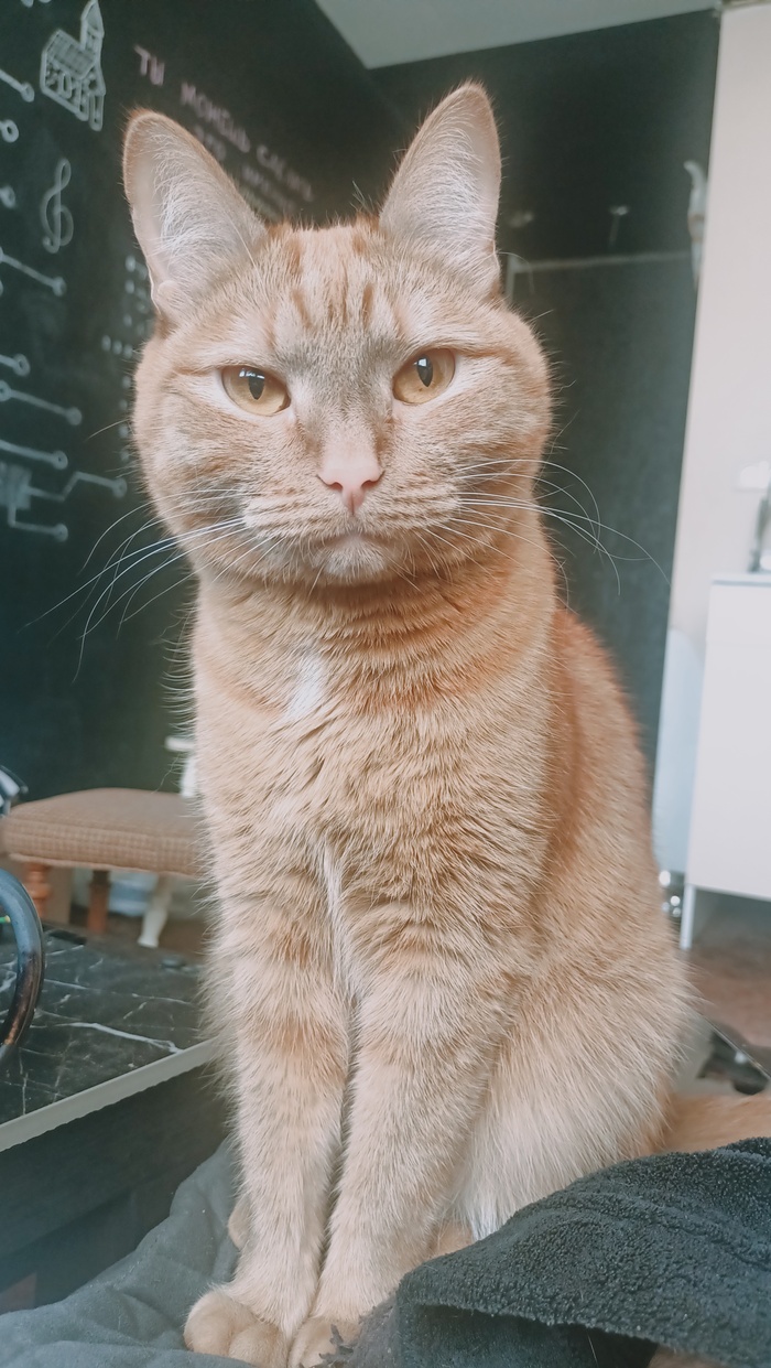 �������, ���� ����� ����� �����)