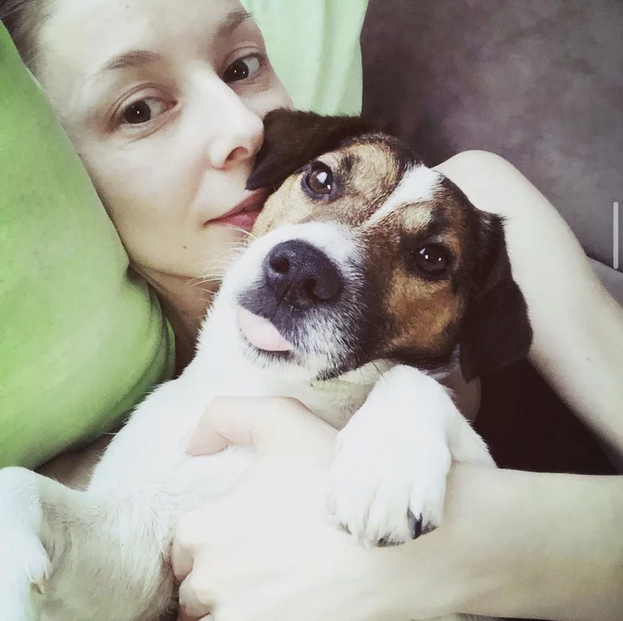 My woolen - My, Dog, Jack Russell Terrier, Pets