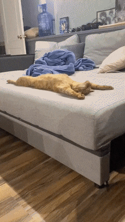      , , , 