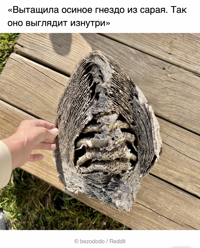   , ADME, Reddit,   ,  
