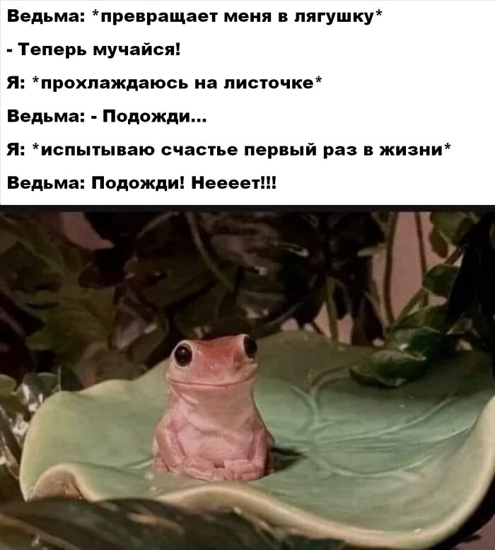    ,   , , , , , 