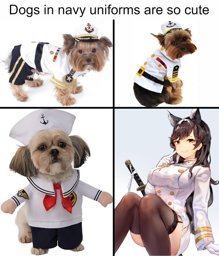 Собачки в военно-морской униформе такие милые Аниме, Аниме мемы, Azur Lane, Atago, Собака, Чулки, Animal Ears