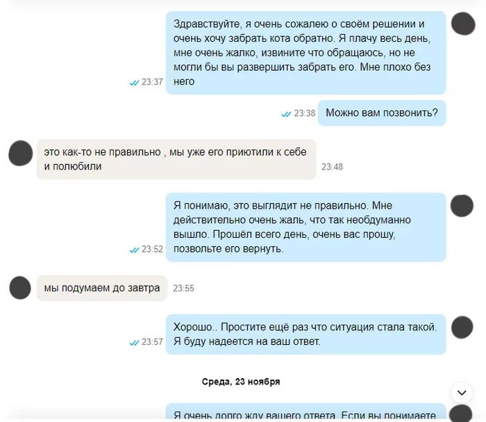 Когда пожалел о решении дважды - Моё, Разочарование, Кот, Боль, Странные люди, Авито, Обида, Жадность, Поведение, Печаль, Длиннопост