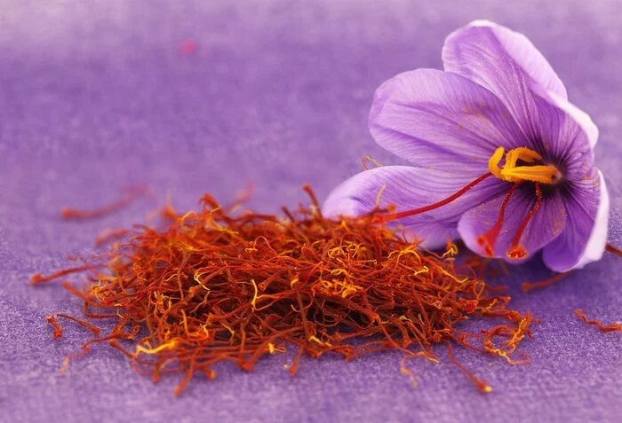 A revolution in agriculture for the most expensive spice in the world - Israel, Technologies, Startup, Saffron, Future, Video, Youtube, Longpost