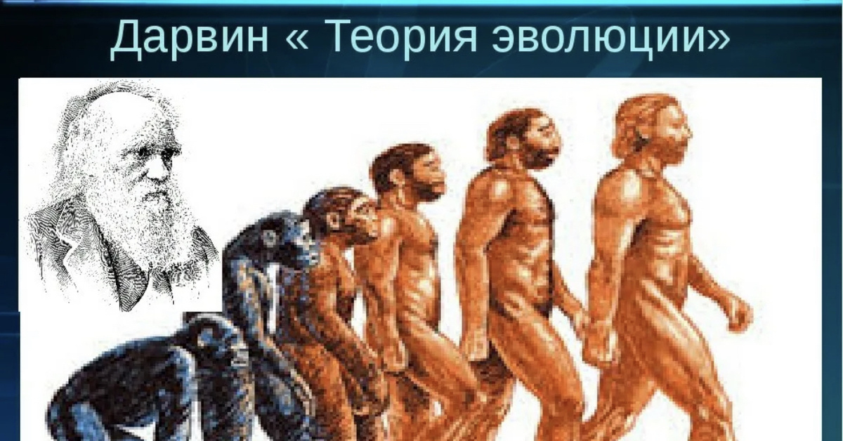 Возникновение эволюционной теории. Эволюционная теория Чарльза Дарвина. Теория эволюции Дарвина.