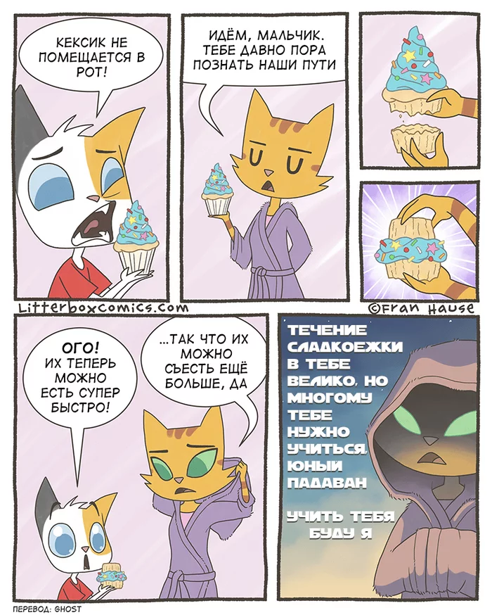 Youngling training - Litterbox Comics, Humor, Comics, Translated by myself, Translation, Parents and children, cat, Star Wars