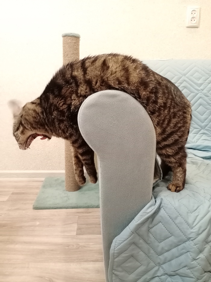 Крик души