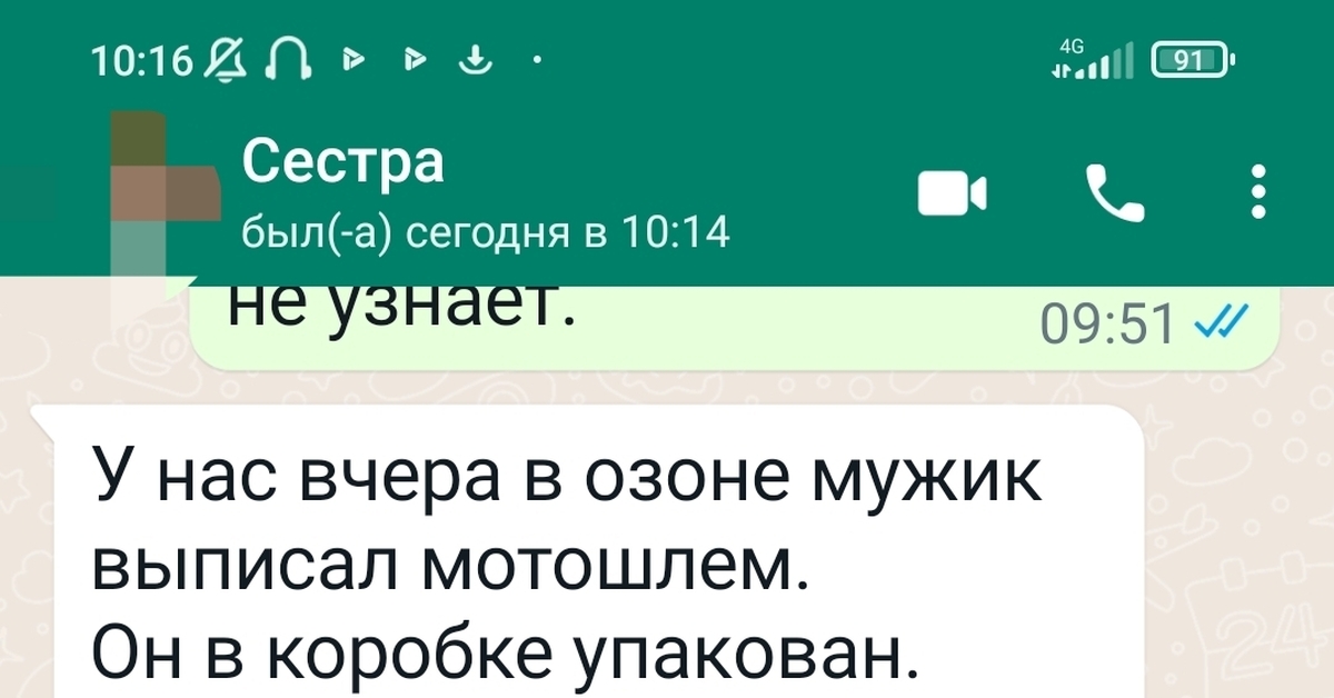Кот. Первая (кровь) охота!:) | Пикабу