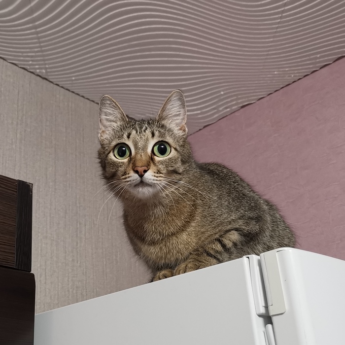 Эти глаза напротив