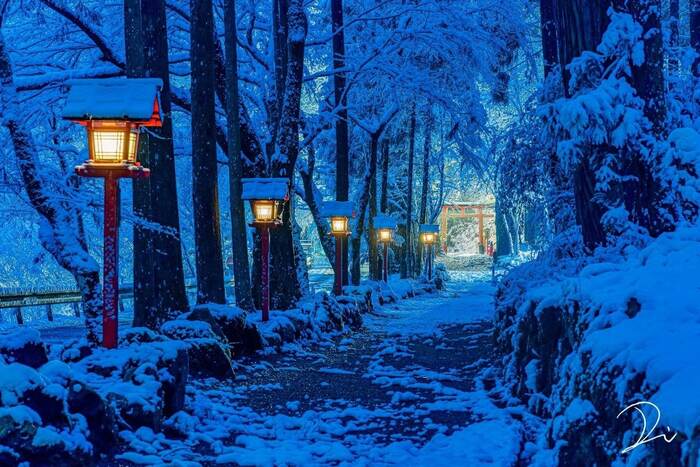 Волшебный заснеженный Киото Природа, Фотография, Япония, Снег, Зима, Киото, Тории, Атмосферно