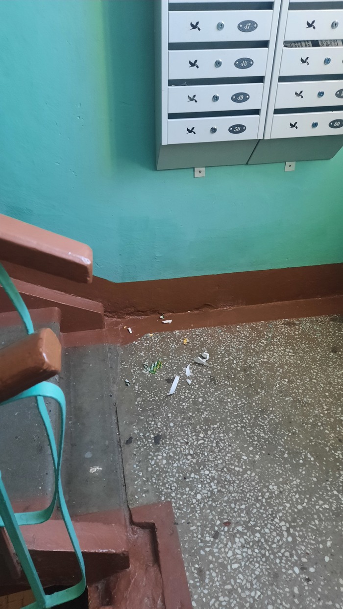 Свиньи | Пикабу