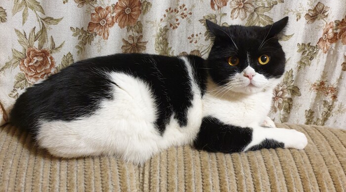 10 ��� ��� �� ������