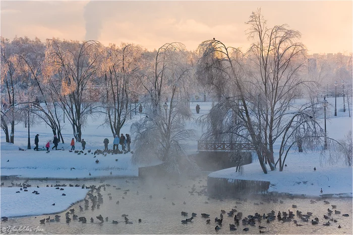 frosty evening - My, The photo, Landscape, Winter, Tsaritsyno, Duck, freezing