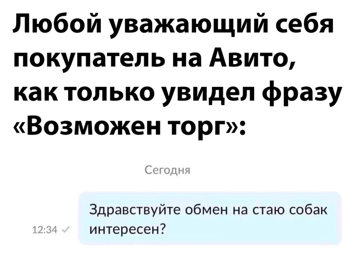 Как будто отсутствие фразы возможен торг кого-то на авито останавливает от подобных предложений - Картинка с текстом, Скриншот, Переписка, Авито, Возможен, Торг