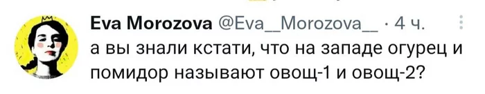 Вегстэбл уан энд вегстэбл ту, если быть точнее - Twitter, Запад, Западные ценности, Мама, Отец, Овощи, ЛГБТ, Скриншот