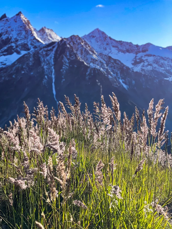 Main Caucasian Range - My, The mountains, The photo, Summer, Elbrus, Caucasus, Landscape