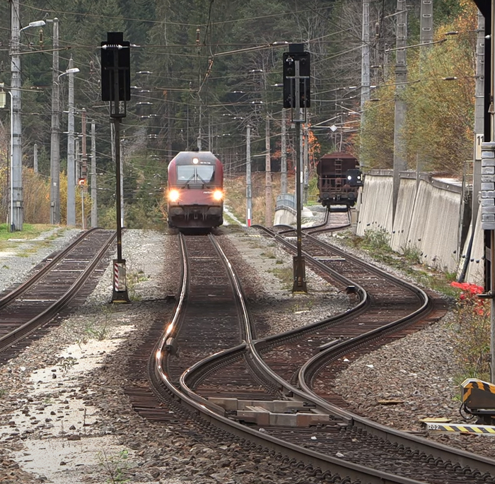 Венская кривая