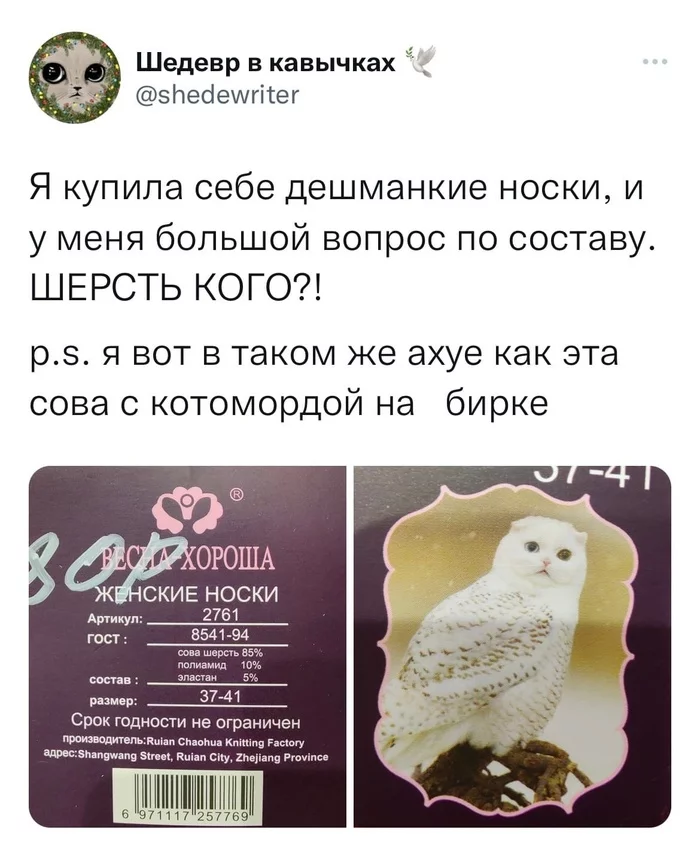 Kotomordochnoe - Twitter, Picture with text, Humor, Owl, Muzzle, Wool, Repeat, cat, Screenshot