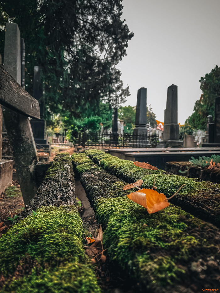 Старая скамейка на кладбище