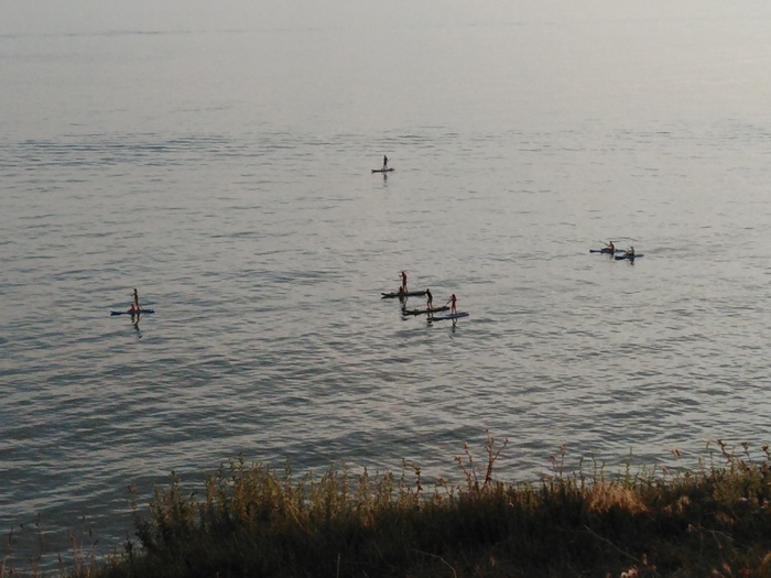 В стране лилипутов