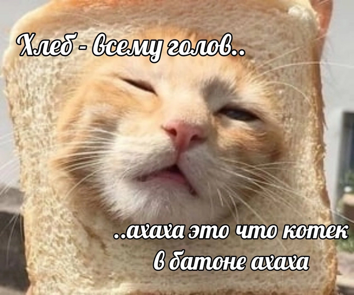 ������ ���?