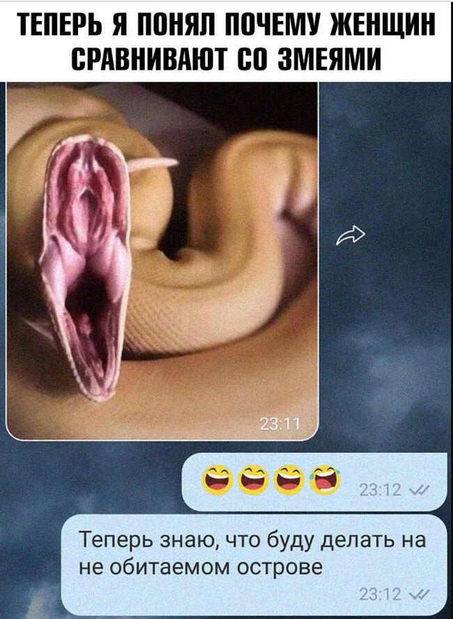 Just a coincidence Texting a friend - My, Snake, Girls, Memes, Images, Savvy, Screenshot, Strange humor