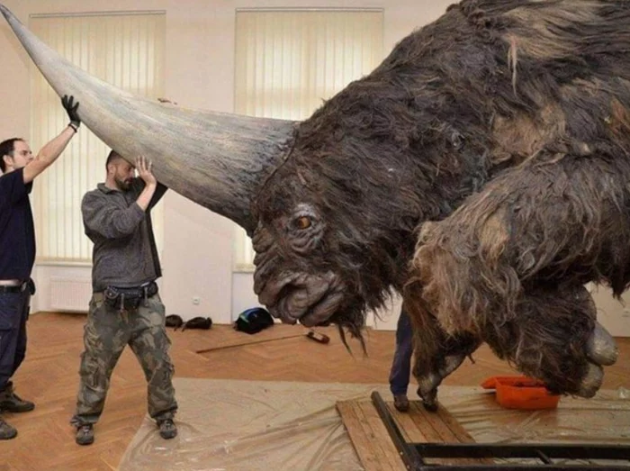 'Siberian unicorn' once roamed among people - Around the world, Paleontology, Repeat, Exhibit, Scarecrow