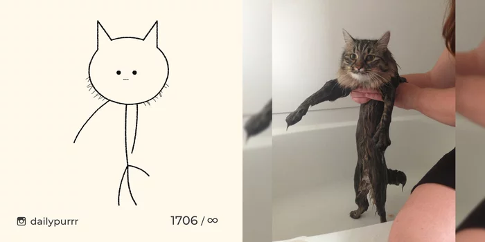When a person says that you are fat, and you just have a fluffy bone - My, cat, Drawing, Animals, Dailypurrr