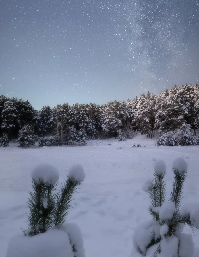 Winter Milky Way - My, Ural, Milky Way, Kyshtym, Sugomak, Winter, freezing, Forest, Nikon, Chelyabinsk region, Southern Urals