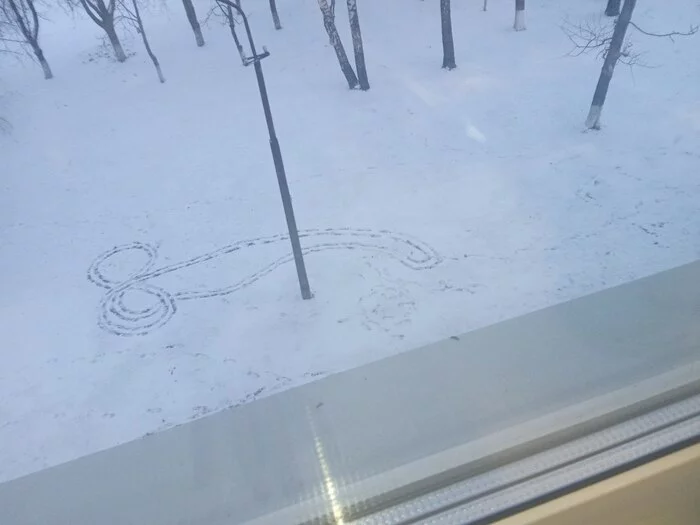 The usual view from the window in a Russian school - My, School, Russia, Republic of Belarus, Memes, Snow, Drawing in the snow, Footprints, Pupils, Disgusting, Humor, Children, The winter is coming, September 1, Teacher, Studies, Teenagers, Students, Penis, Winter