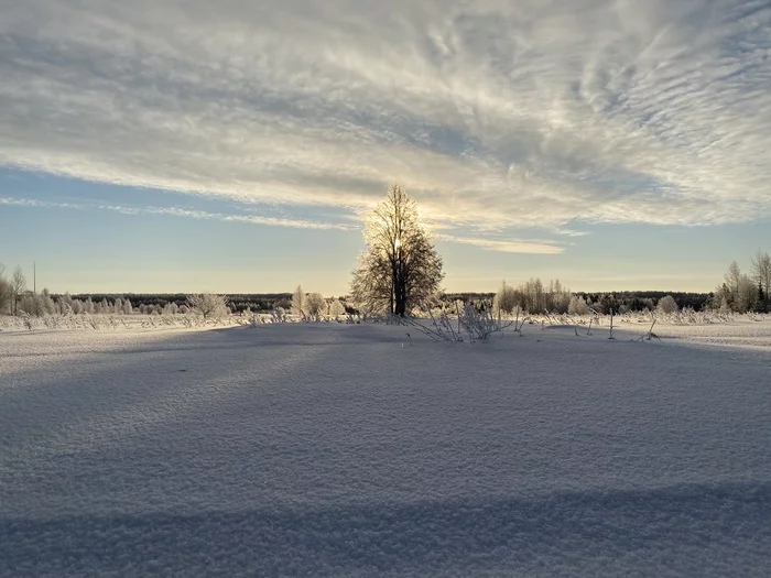 Where there is silence - My, Winter, The nature of Russia, Mobile photography, Snow, The sun