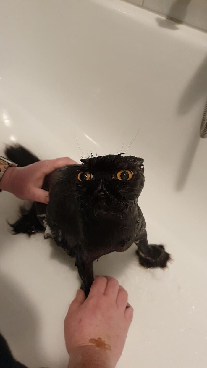 ����� �� ��� ��������