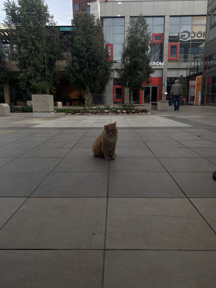 ��������� ��������