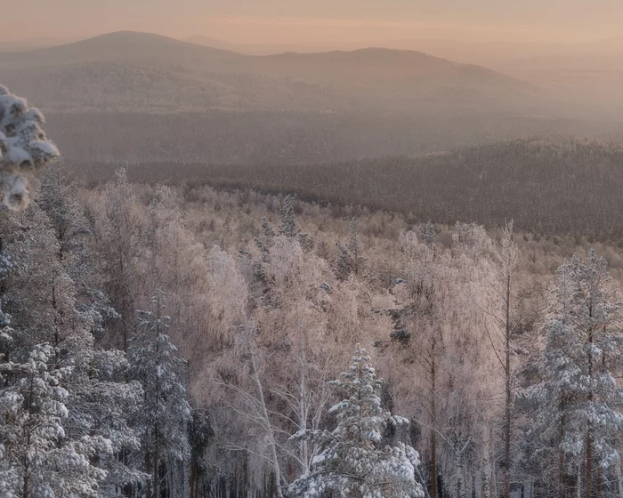 Walk in the winter forest - My, Ural, Nature, The photo, Southern Urals, Kyshtym, Chelyabinsk region, Sunset, freezing, Winter, Sugomak, Snow