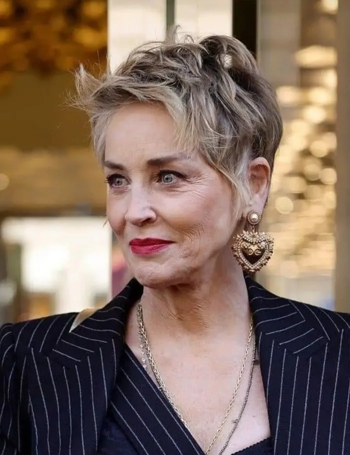 Sharon Vonn Stone Age 64 - West, Sharon Stone, The photo, Celebrities, Actors and actresses