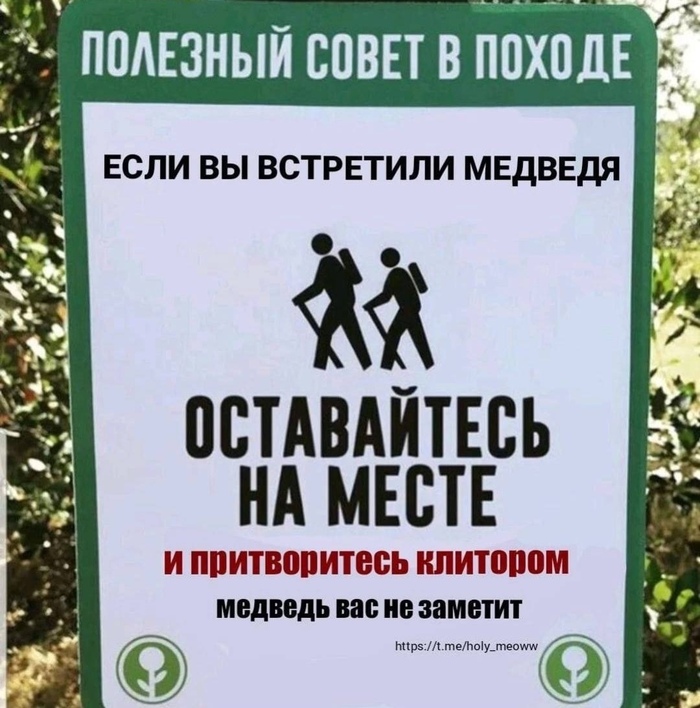 �������� �����