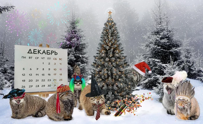 Calendar From manul. December 2022 - Small cats, Pallas' cat, Cat family, Pet the cat, Fluffy, The calendar, New Year, Photoshop, Holidays