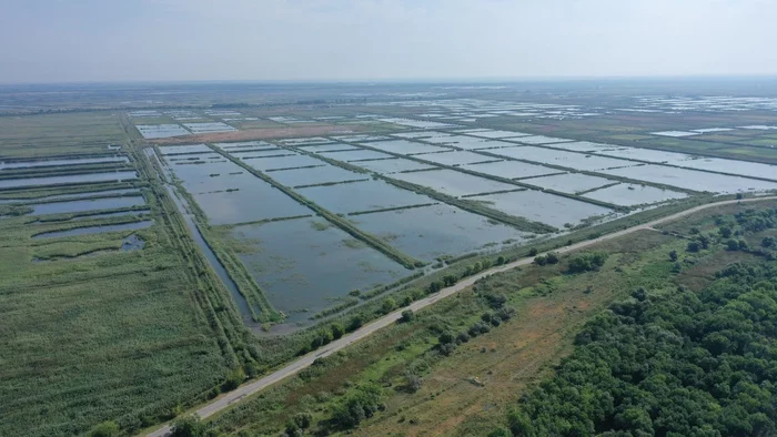 I found a summer photo today, made it specifically to ask why the lakes are square?! It doesn't look like a fish pond... - My, Drone, Quadcopter, Aerial photography, Dji, Field, Pond, Russia