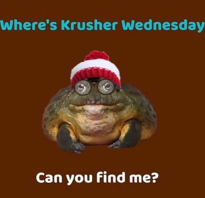 Where is the toad? - Toad, It Is Wednesday My Dudes, Frogs, Jpeg