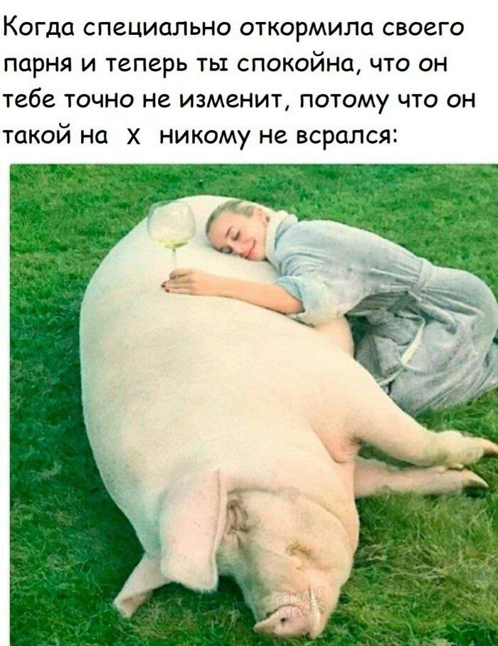 У них всегда есть план