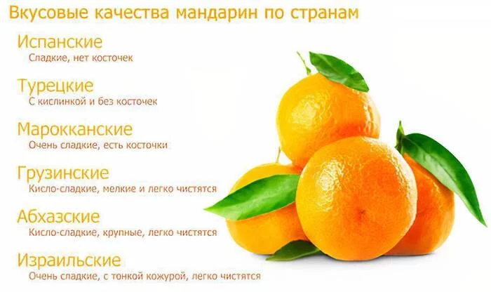 Choosing tangerines - Tangerines, Life hack, Advice, Фрукты, Recommendations, Picture with text