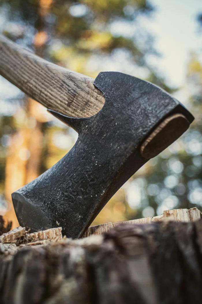 Karelian ax - My, Tourism, Hike, Axe, Longpost