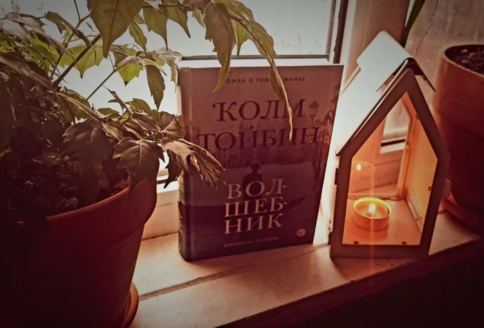 Волшебник Колм Тойбин (рецензия) - Моё, Писатели, Литература, Обзор книг, Чтение, Книги, Посоветуйте книгу, Рецензия, Томас Манн, Германия, Нацизм