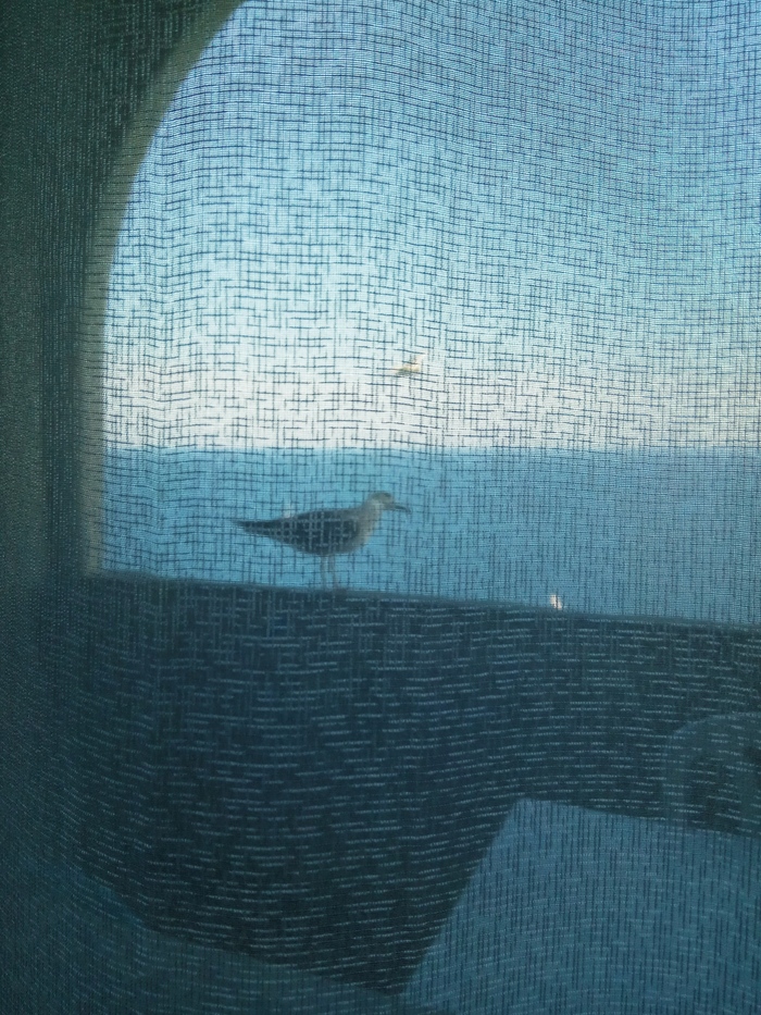 �����. ������. �����